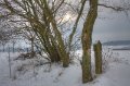 Winter 28.12.2010_21